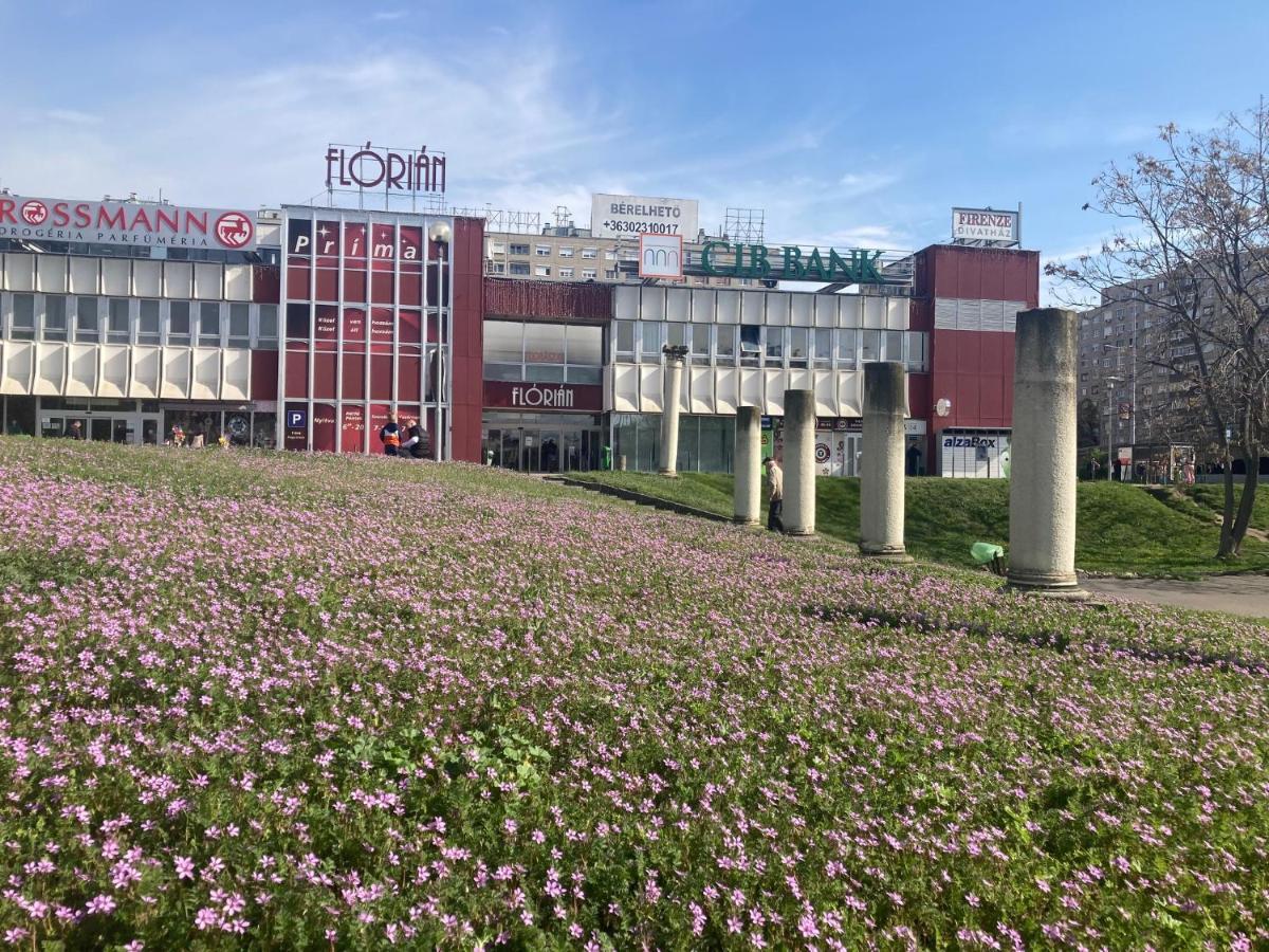 Poppy Flower Apartment Budapest Eksteriør bilde